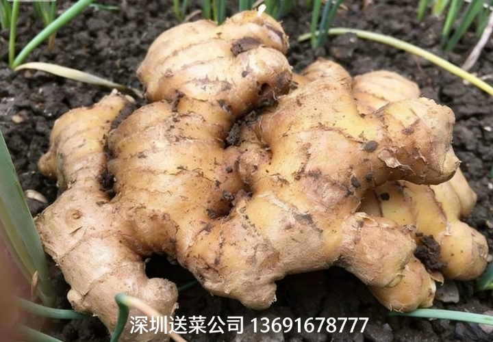 鮮姜實力派，深圳蔬菜配送公司送5大特效護您健康！