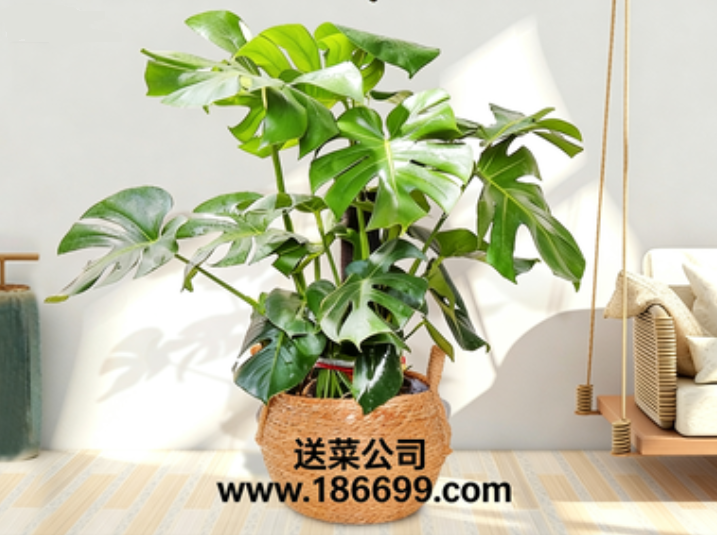 微信圖片_20251210210001_184_3.png