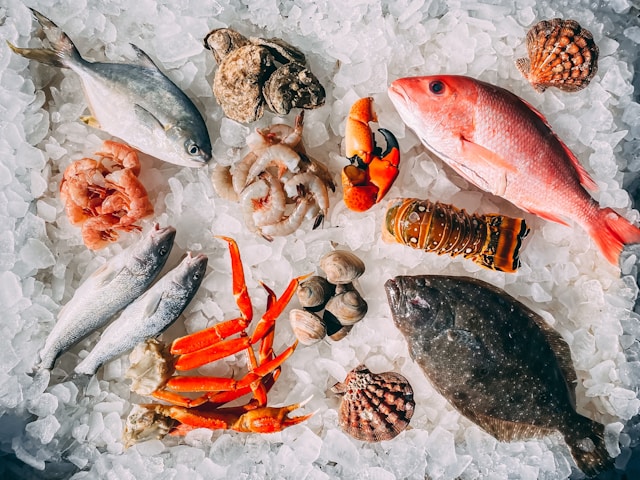 魚1.jpg